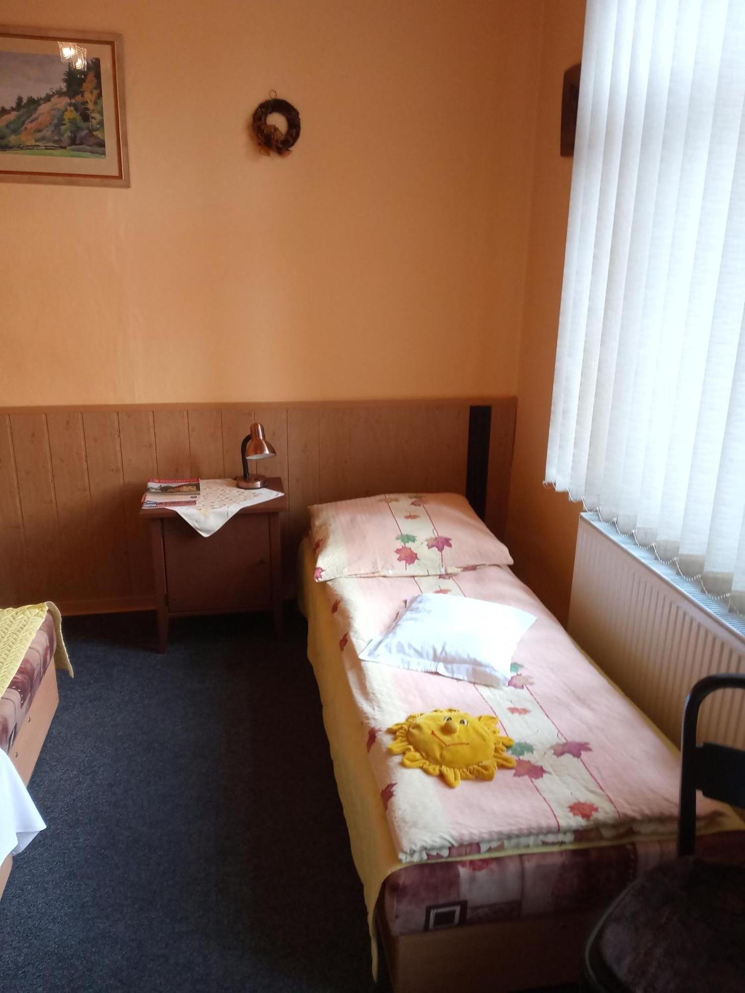 Pohodovy Se Zahradou Appartamento Upice