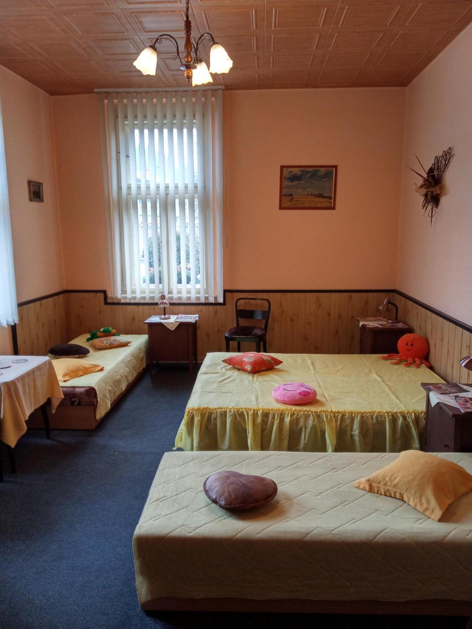 Pohodovy Se Zahradou Appartamento Upice